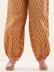 Umang Parineeta Pants